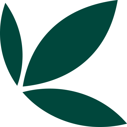 Bamboo logo